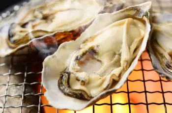통영 생굴 1KG 가격&amp;#44; 굴 효능 및 영양소
