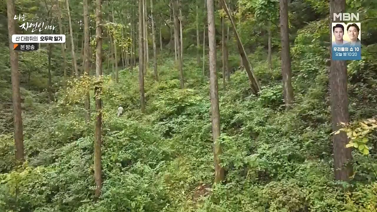 나는 자연인이다.E525.221027p-NEXT.mp4_20221027_192746.155.jpg