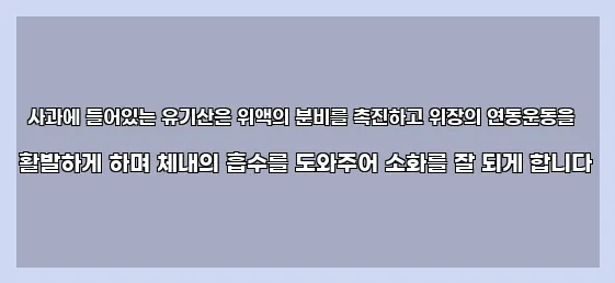  사과에 들어있는 유기산은 위액의 분비를 촉진하고 위장의 연동운동을 활발하게 하며 체내의 흡수를 도와주어 소화를 잘 되게 합니다