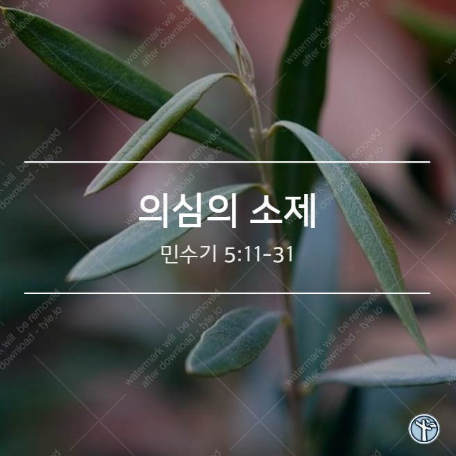  의심의 소제