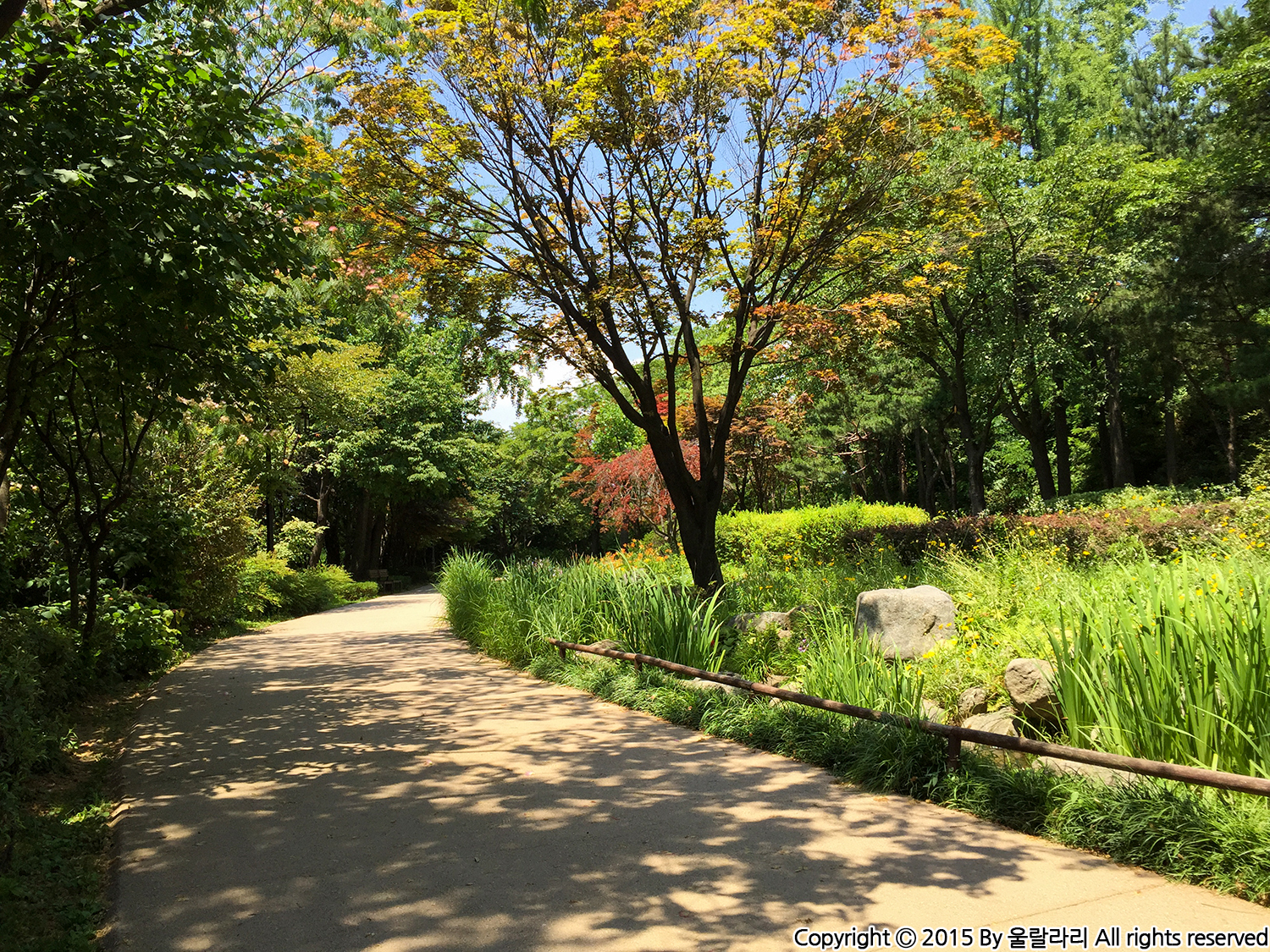 그랜드 하얏트 서울 남산공원