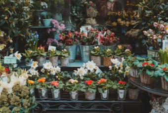 꽃집 창업에 대하여 알아보기