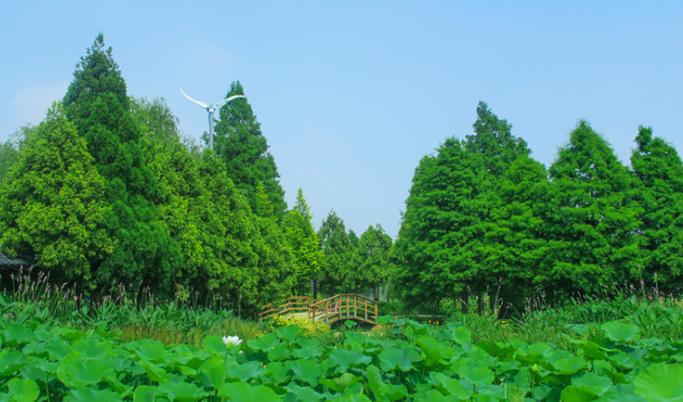 식물원 명소 4곳 추천 (경기/충남), 9월 10월 가볼만한 곳