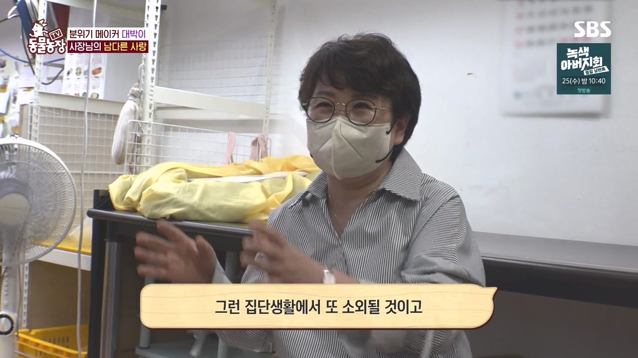 TV 동물농장.E1141.231016p-NEXT.mp4_20231015_174127.742.jpg