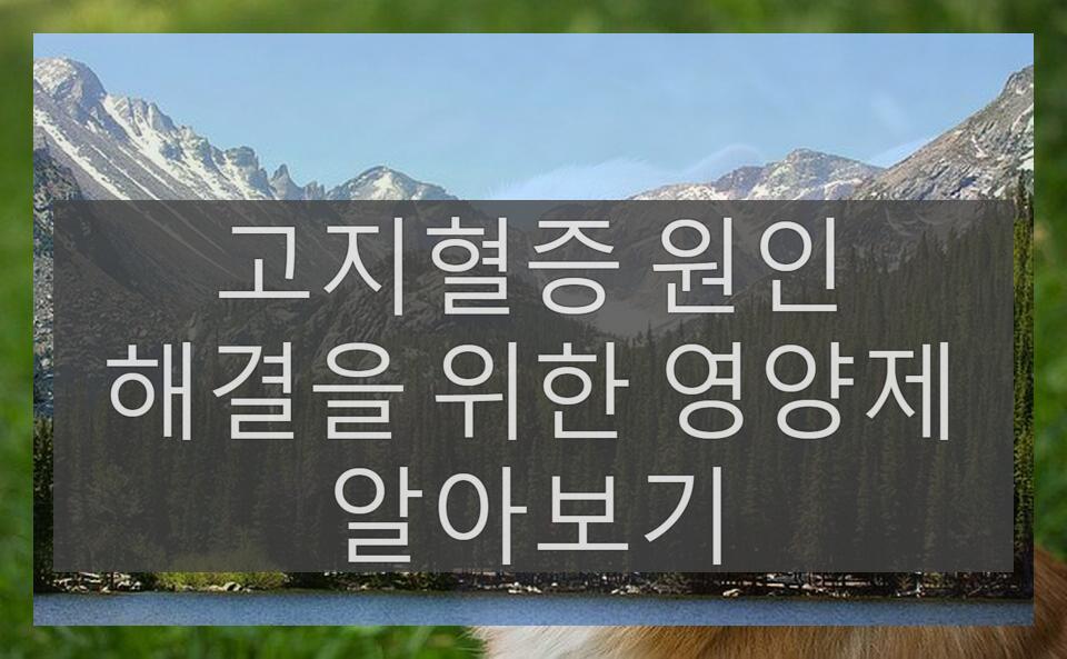 위한 영양제를 알아보는 고지혈증의 원인해결을
