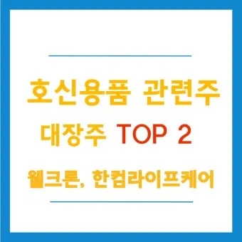 호신용품 대장주 관련주 TOP5 총정리_9