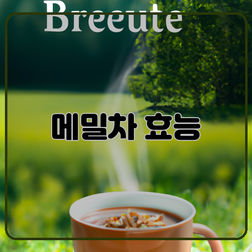 메밀차-효능-놀라운