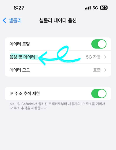 셀룰러 데이터 옵션 메뉴에서 음성 및 데이터라고 쓰여진 메뉴를 찾아서 눌러줍니다. 이 메뉴는 휴대폰의 음성 통화나 데이터 통신에 사용할 네트워크 모드를 선택할 수 있는 곳입니다.