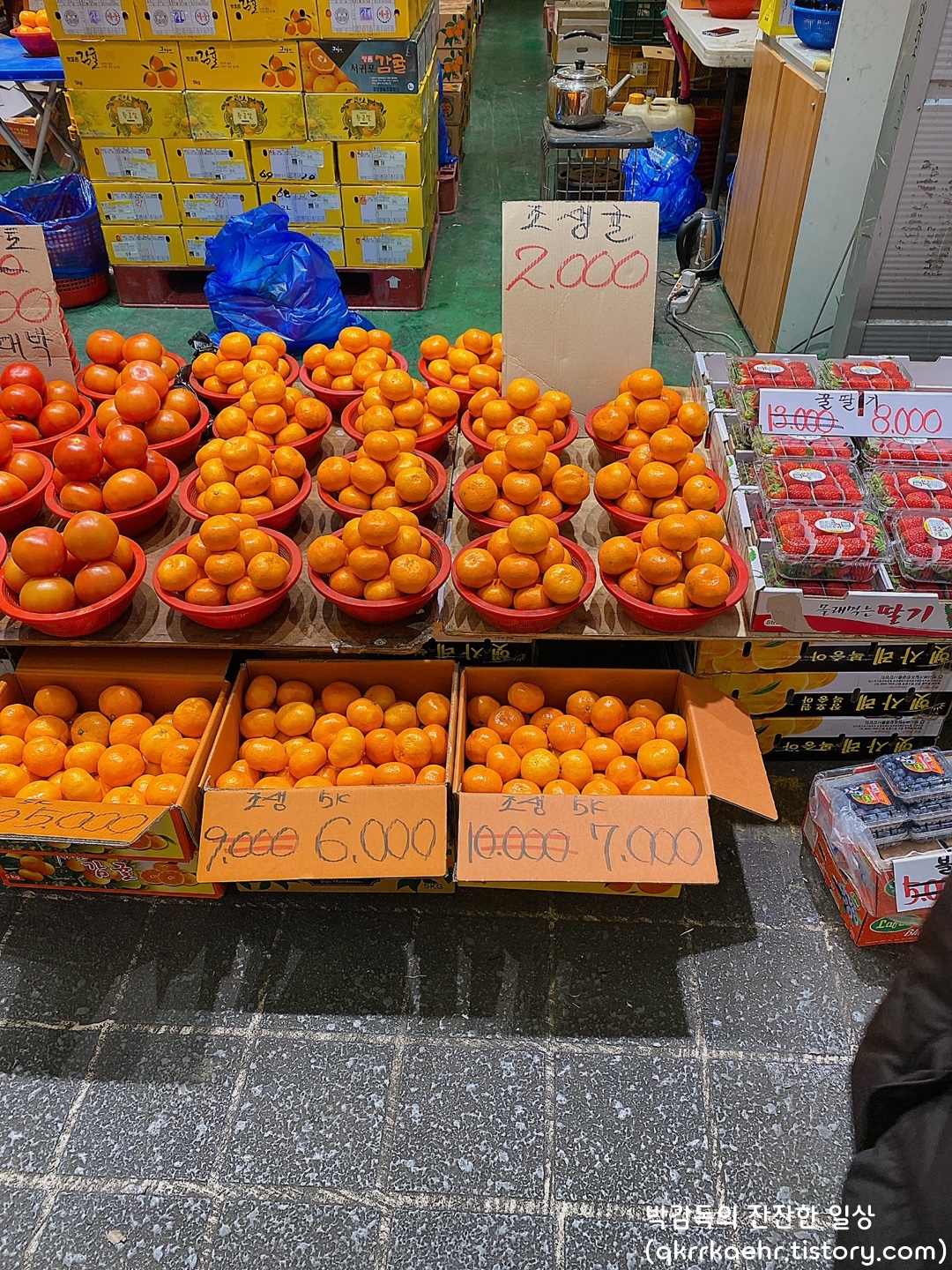청량리 청과물시장 과일