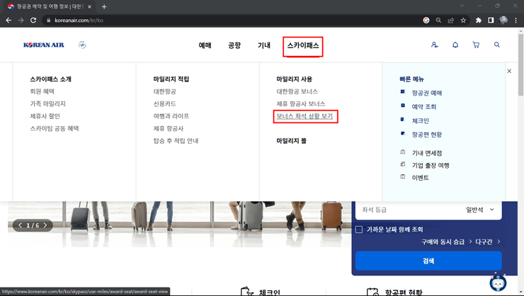 스카이패스