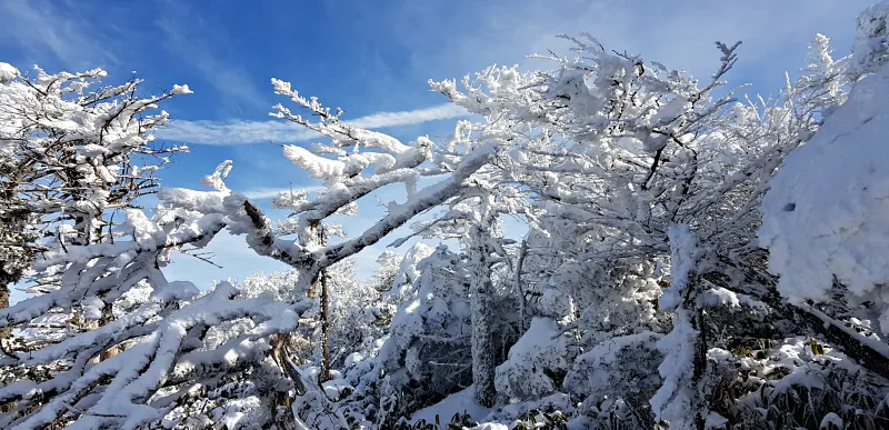 제주 한라산 설경 겨울왕국