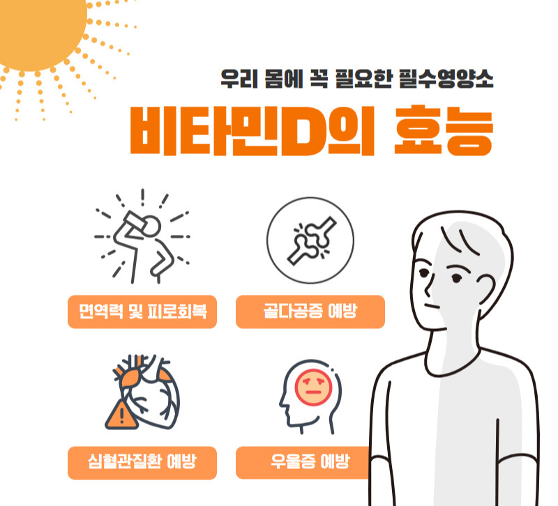 비타민D-효능