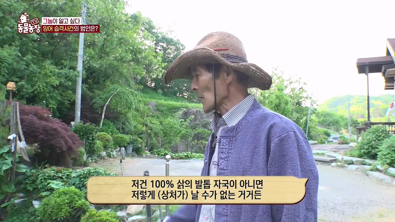 TV 동물농장.E1178.240630.ts_20240630_164645.913.jpg