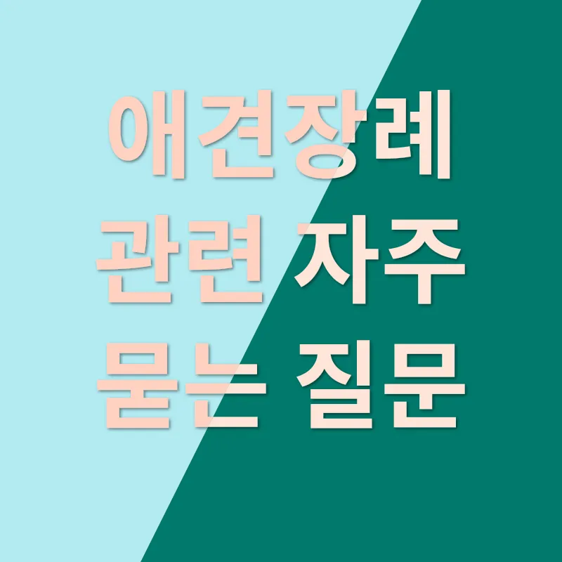 애견장례_4