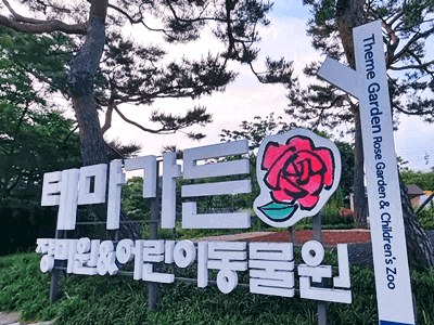 2024-서울장미축제-중랑장미공원-서울대공원