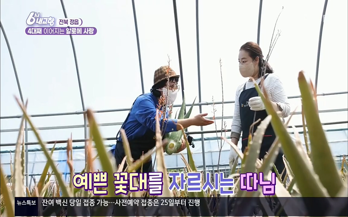 6시 내고향.E7511.220415p.H264-F1RST.mp4_20220425_174114.370.jpg