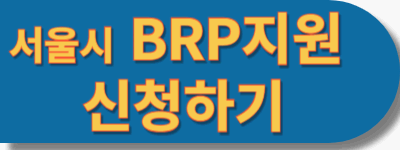 서울시 BRP 지원
