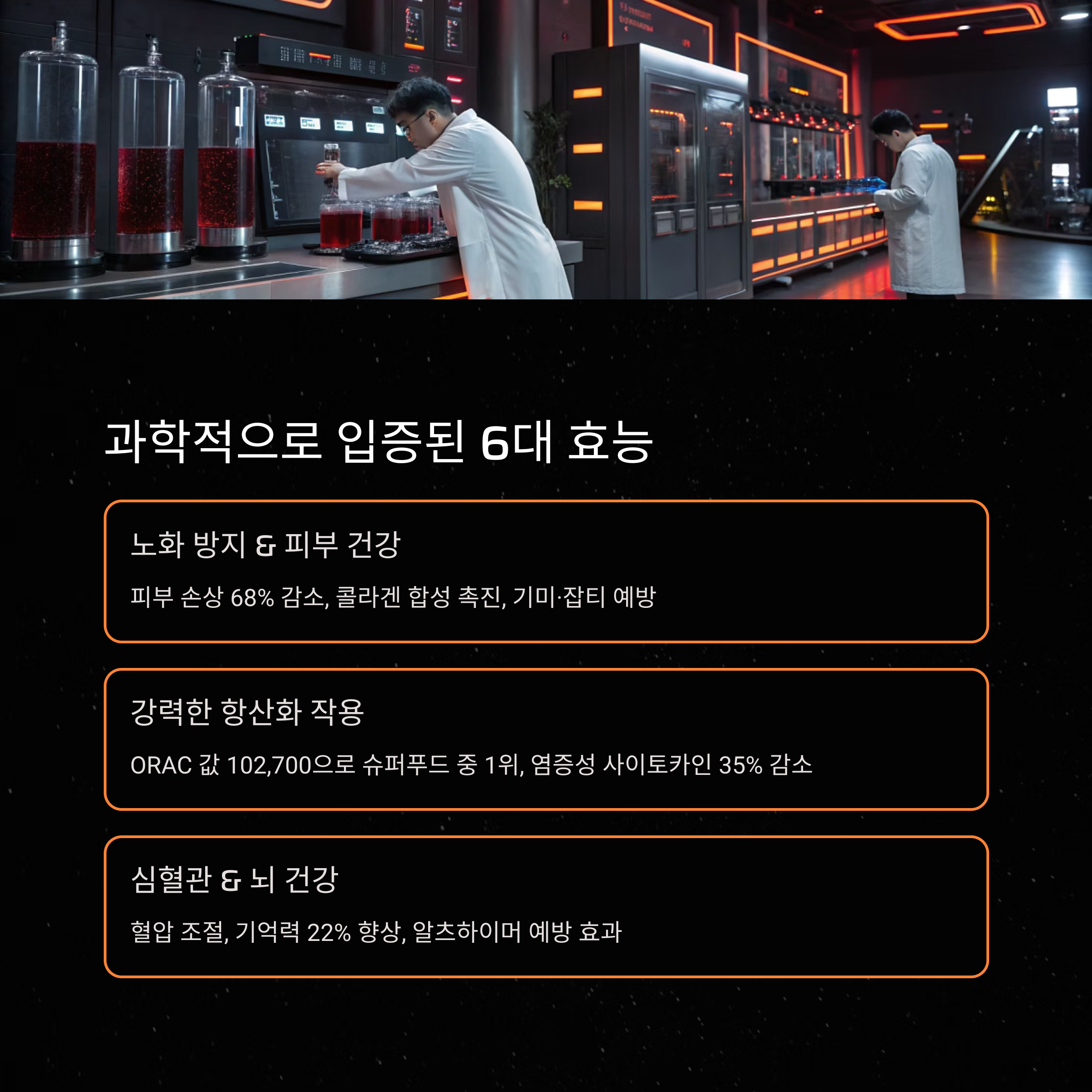 아사이베리 효능