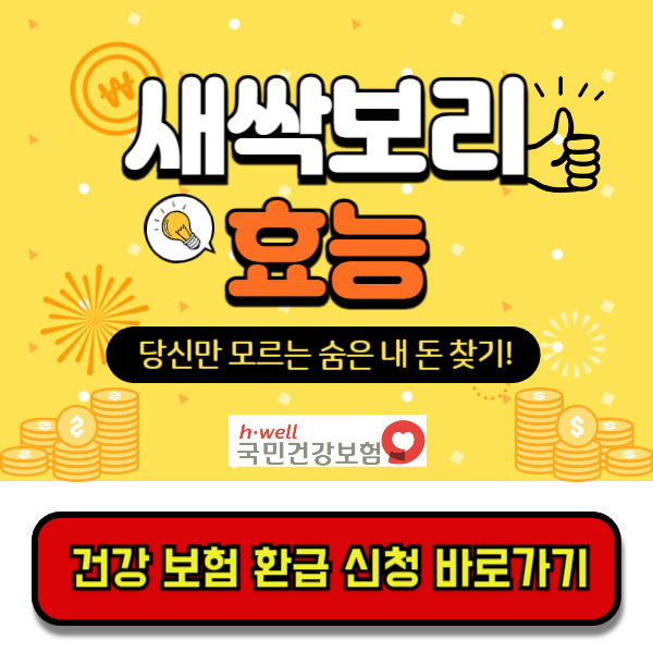 새싹보리효능