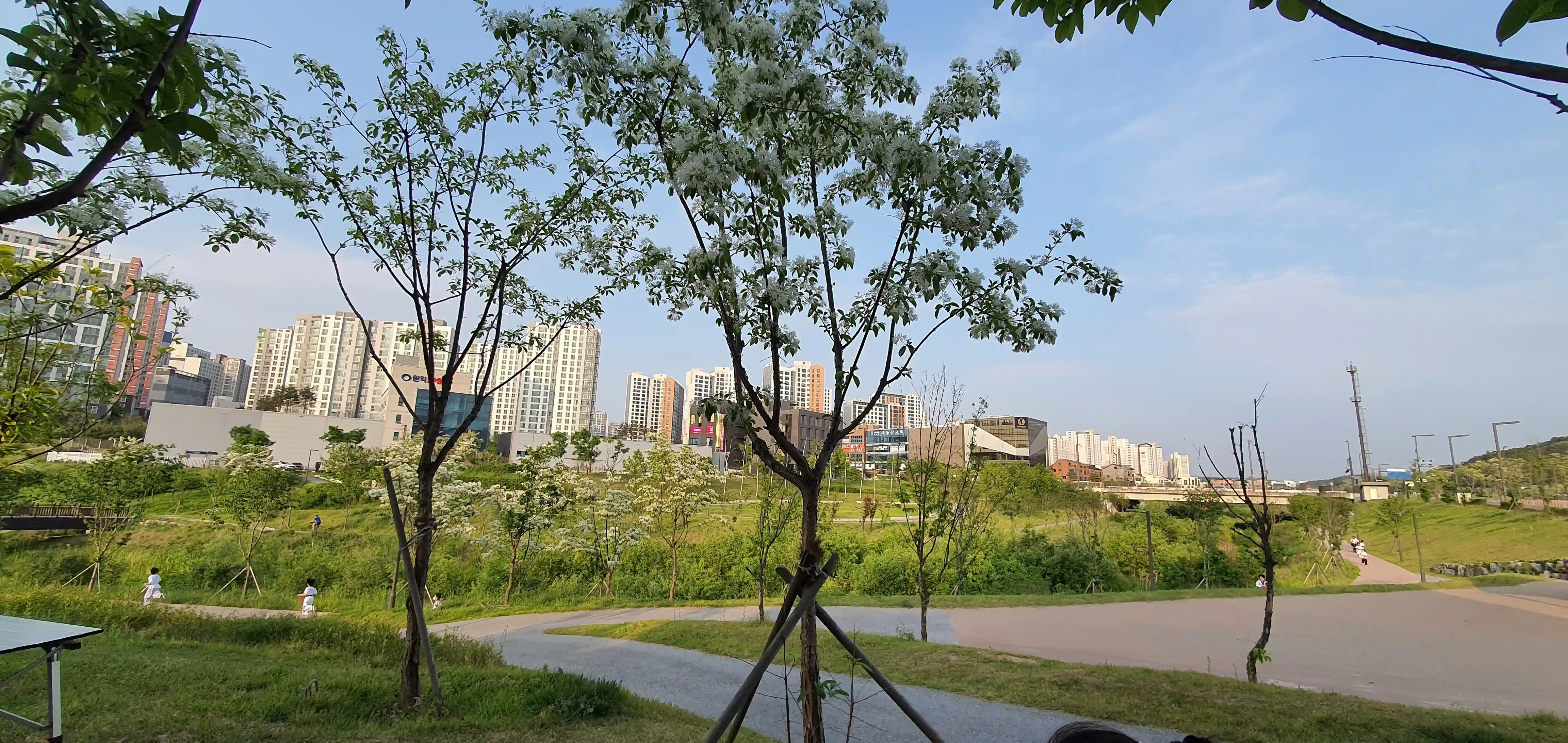 동탄카페 장지천3길 아이랑 방문 후기 - undefined - "주문한 메뉴가 나왔어요." - "카페의 진가 장지천 소개" 동탄카페 장지천3길 아이랑 방문 후기 - undefined - "주문한 메뉴가 나왔어요." - "카페의 진가 장지천 소개"