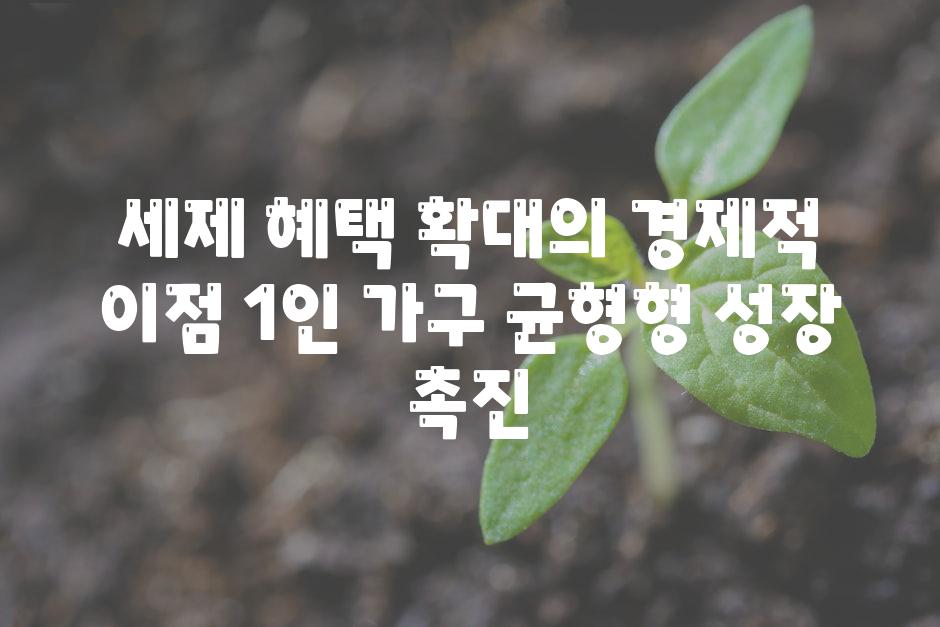 세제 혜택 확대의 경제적 이점 1인 가구 균형형 성장 촉진