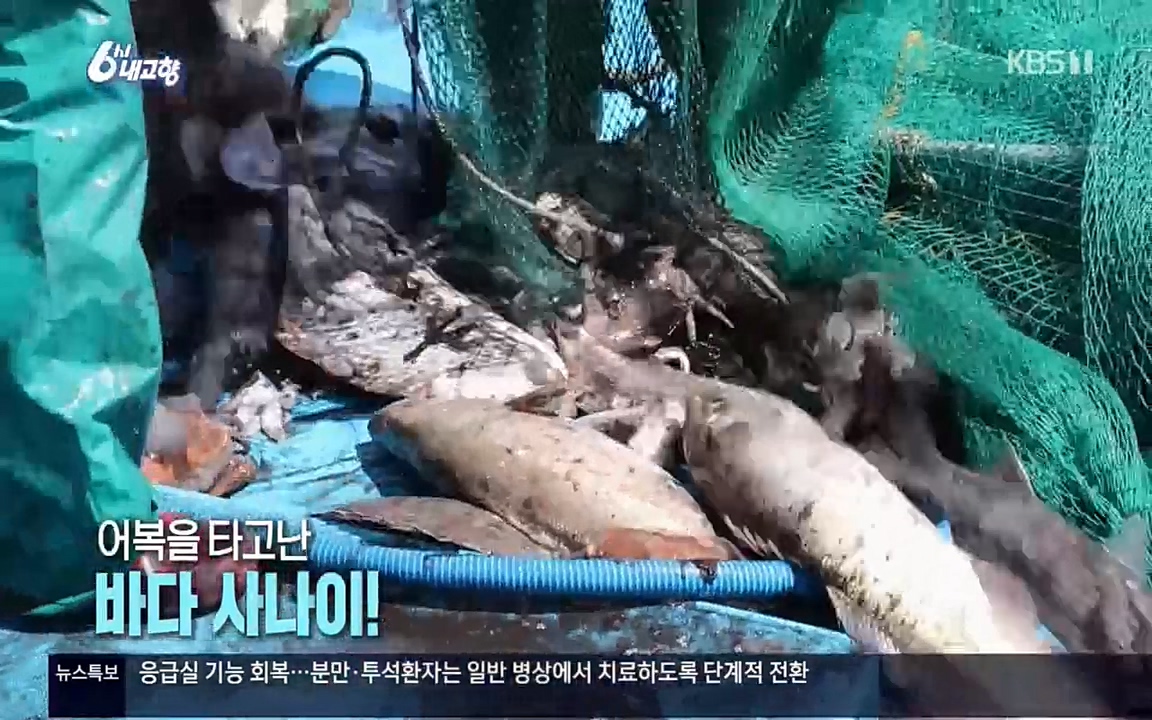 6시 내고향.E7518.220426p.H264-F1RST.mp4_20220504_192223.954.jpg