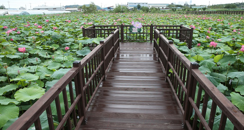 연꽃향기천연염색 이미지