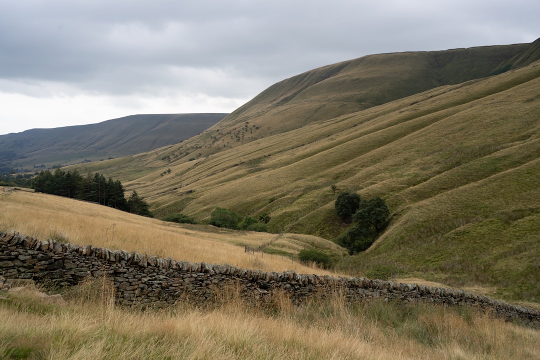'Hillstate'
