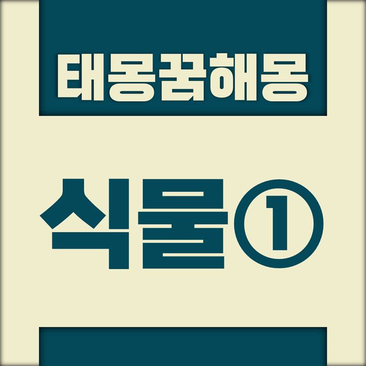  [꿈해몽풀이] 식물① 태몽 (가지, 갈대, 감, 감자, 고구마, 고추 등)