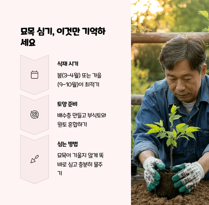 박태기나무