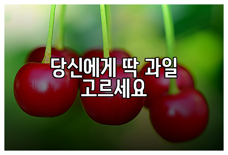 당신에게 딱 과일 고르세요
