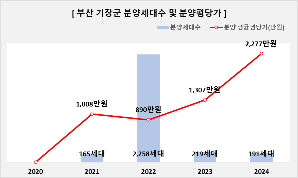 베라체 사진 3