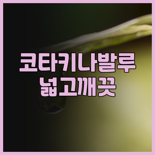 코타키나발루 밍 그리니지 스위트 앳 