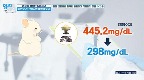 장 건강을 위한 운동&amp;#44; 걷기와 스트레칭