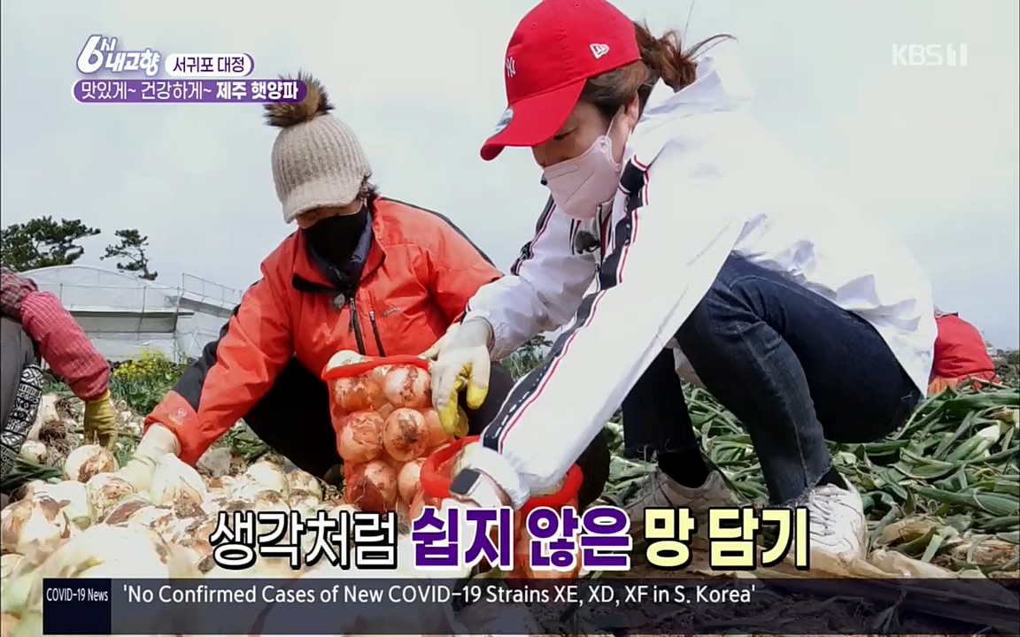 6시 내고향.E7505.220407p.H264-F1RST.mp4_20220411_180220.495.jpg