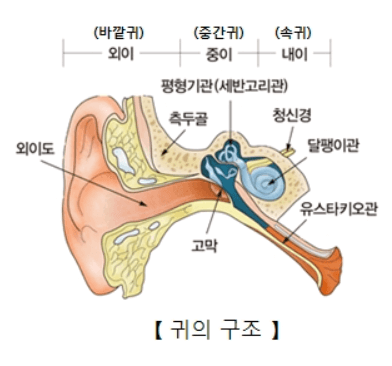 보청기종류-오픈형보청기