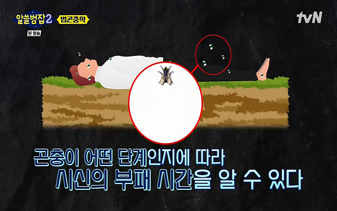 알쓸범잡 2.E15.220425p-NEXT.mp4_20220425_181223.698.jpg