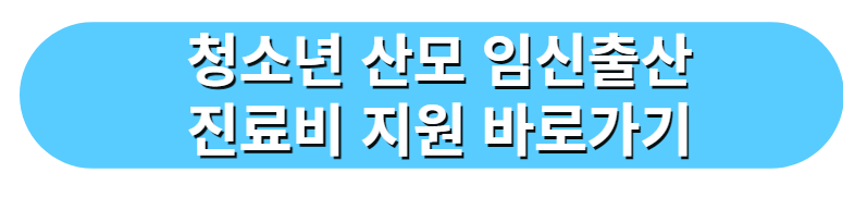 청소년 산모 임신출산 의료비 지원 (2)