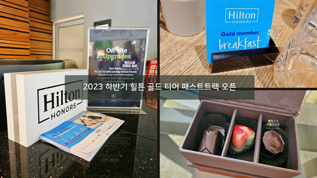 2023 하반기 힐튼 골드 티어 패스트트랙 오픈 (6박만 하면 골드)