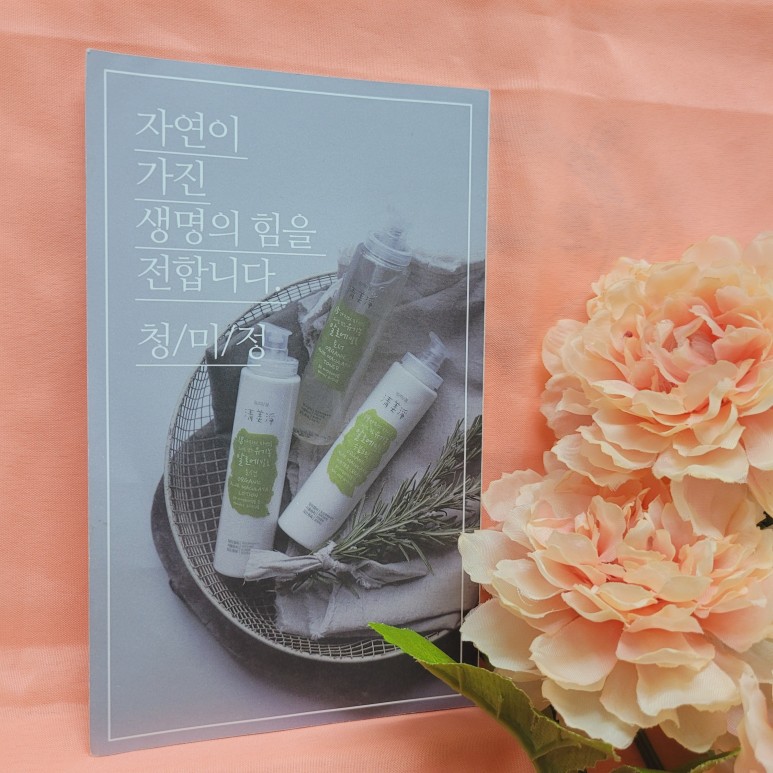 추천 모두 알로에하세요 수부지 전용 수분크림 8