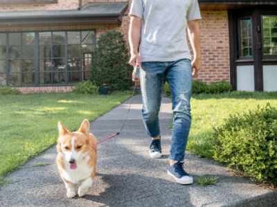 산책하는 남자와 개