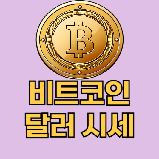 비트코인 달러 시세