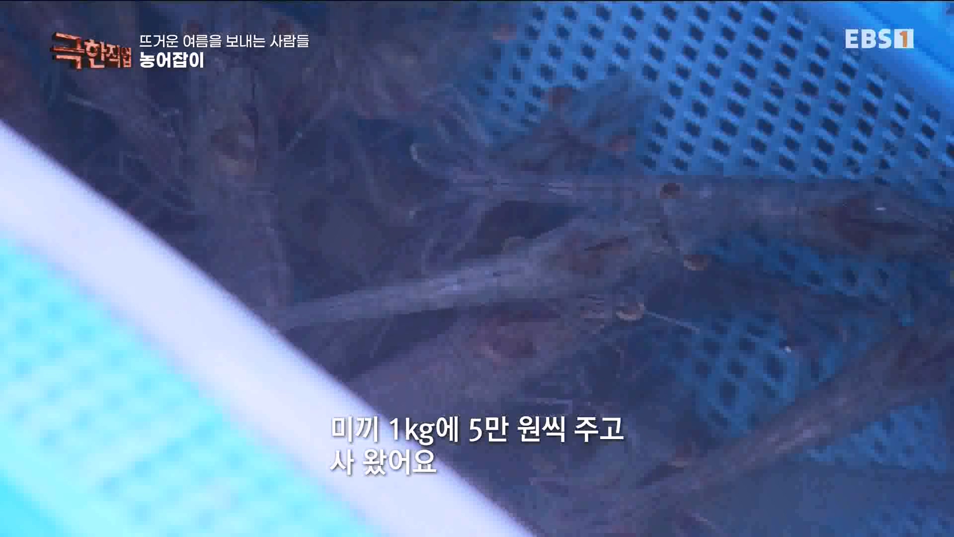 [극한 직업] 삼베 제작과 농어잡이 230812p.mp4_20230814_204008.496.jpg