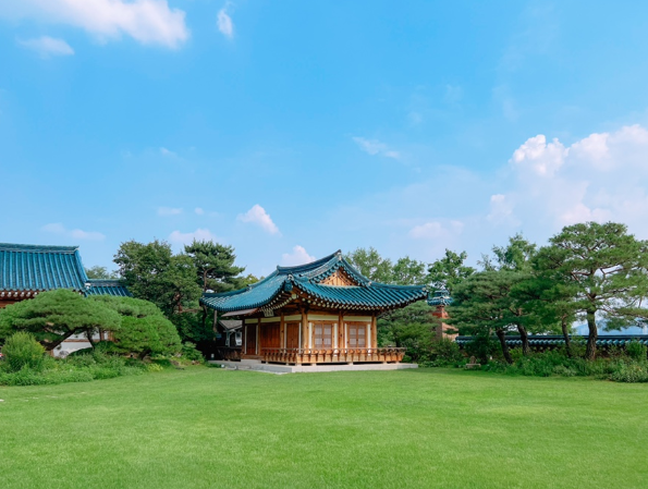 청와대 관람 신청, 주차, 추천 코스 총정리 (2025 최신판) 놓치면 후회!