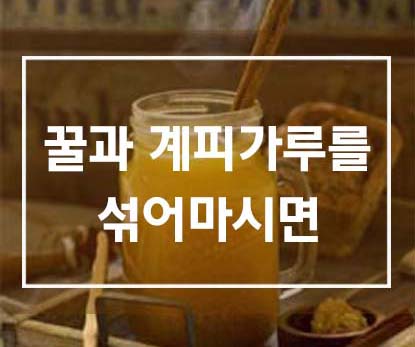  꿀과 계피가루를 섞어마시면 [ 만병통치약 ]
