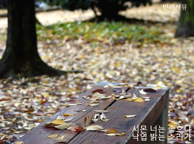  오늘의 포토 / 또 하루가