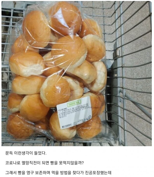  빵을 오래 보관하고 싶었읍니다...