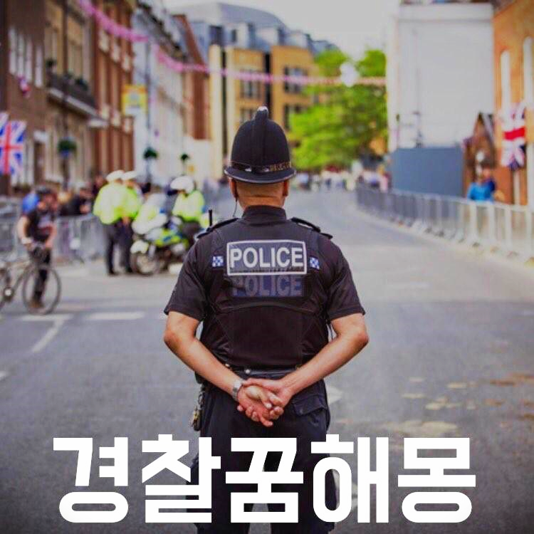 경찰 꿈
