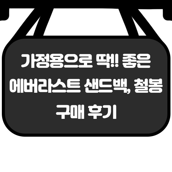  가정용으로 딱!! 좋은 에버라스트 샌드백, 철봉 구매 후기