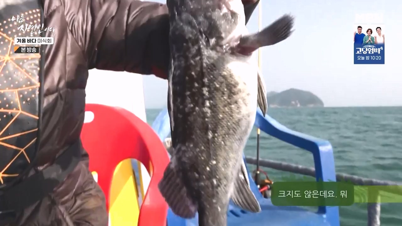 나는 자연인이다.E584.231214p-NEXT.mp4_20231214_194905.626.jpg